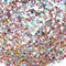 Bad Romance Mirror Shine Tie Dye Pearlescent Chunky Glitter Mix